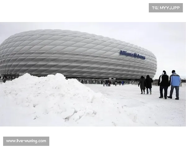 历史回顾:二十年前,德甲联赛如何应对类似的严寒天气大规模赛程调整